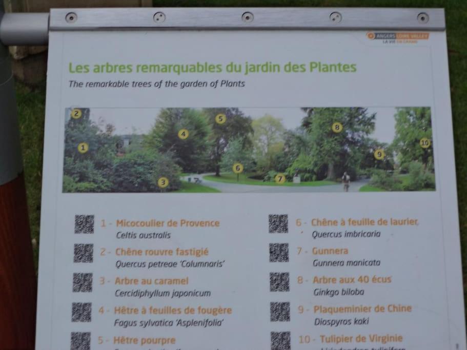 La Bergerie Angers Centre Ville Extérieur photo